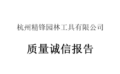 2024-2025年质量诚信报告